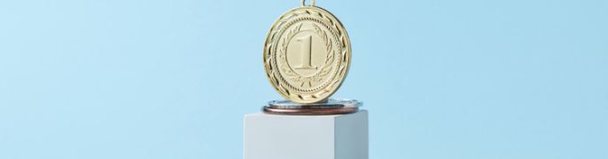 article preview