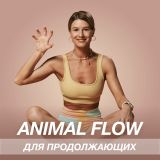 animal-flow-pro