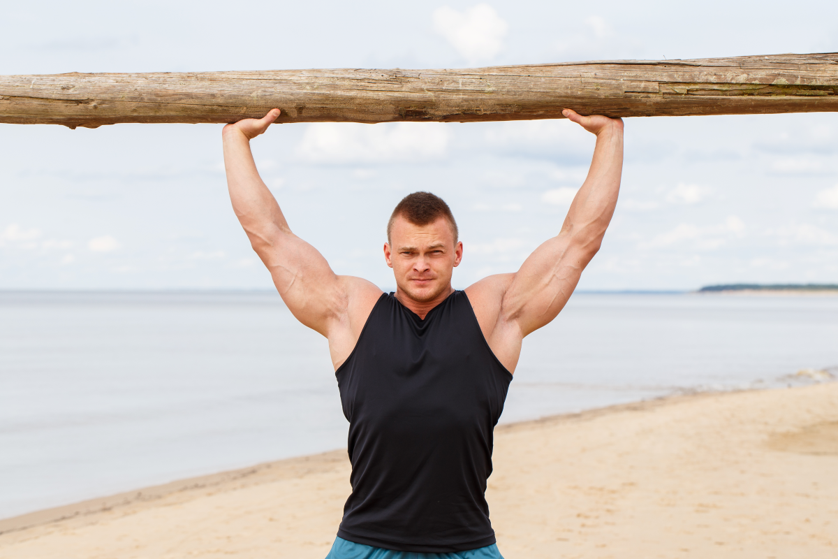 Elite Mega Gainer �����������: ����.