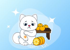 Аллергия на продукты: когда обычная еда становится опасной