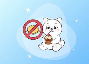 ТОП-6 полезных блюд без капли жира: простые рецепты на каждый день