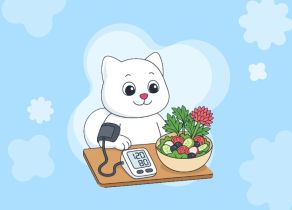 Питание для снижения риска инсульта и инфаркта — рассказываем про DASH-диету