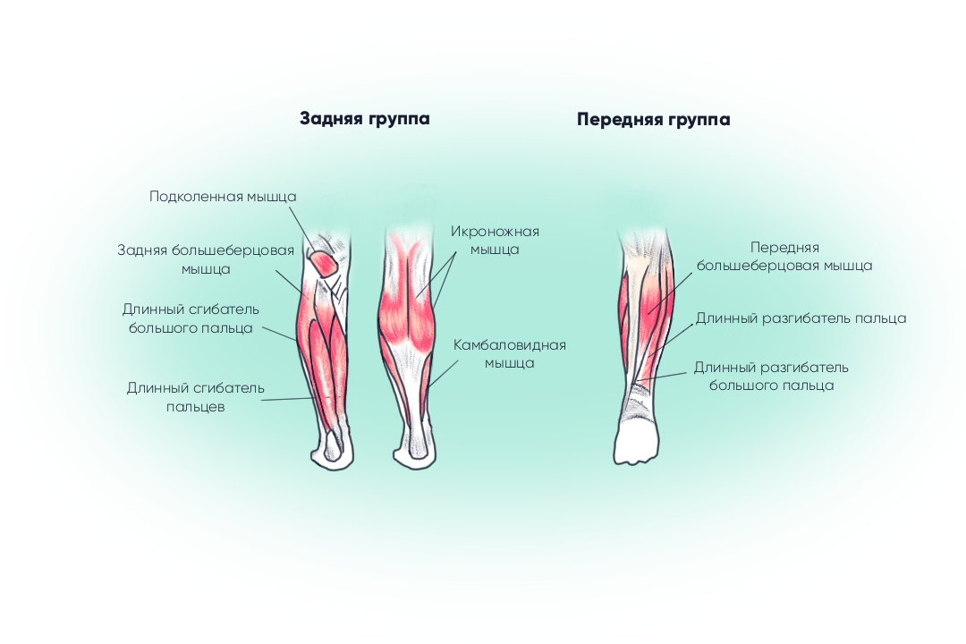 скриншот