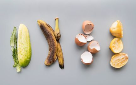 Как определить, что продукты испортились