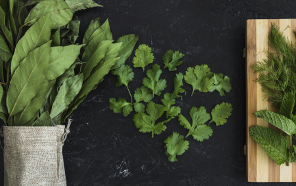 Самая полезная зелень. Топ — 7 видов