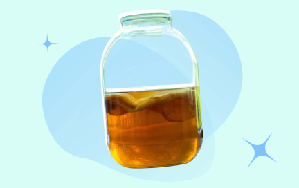 Комбуча: чем полезен чайный гриб и что с ним делать