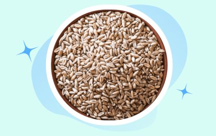 Гайд по полбе — что это за крупа, в чём её польза и как её готовить