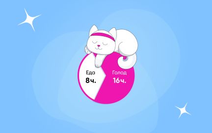 Интервальное голодание: простой способ омолодить клетки и улучшить самочувствие