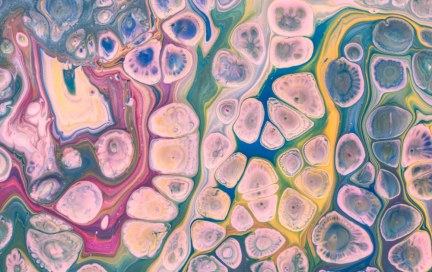 Аутофагия: как голодание стало новым ЗОЖ-культом