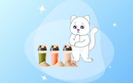 Протеиновые коктейли: ликбез и лучшие рецепты