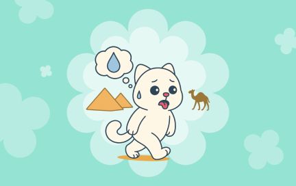 Откуда берётся обезвоживание и как его избежать: рассказывают эксперты