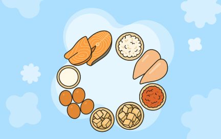 Похудеть за две недели: как работает белковая диета