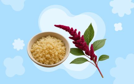 Амарант: маленькие зёрна с большой пользой для здоровья