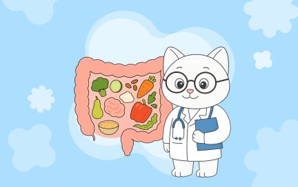 Диета при дивертикулите: начните жить без боли в животе