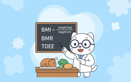 Почему одни продукты насыщают, а другие — нет?