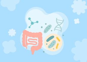 Невидимые союзники: зачем нам полезные бактерии и откуда их можно получить