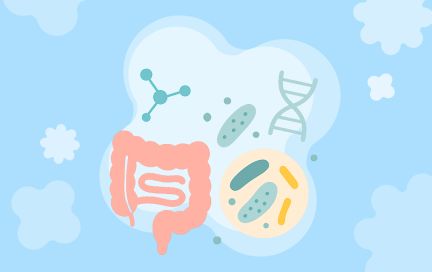 Невидимые союзники: зачем нам полезные бактерии и откуда их можно получить