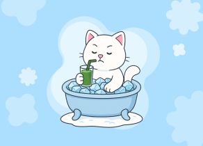 Рацион Павла Дурова: что ест создатель Telegram и сколько стоит его продуктовая корзина