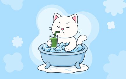 Рацион Павла Дурова: что ест создатель Telegram и сколько стоит его продуктовая корзина