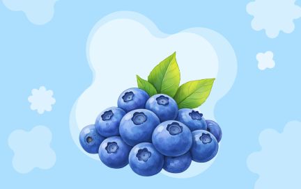 Голубика: 200 г ягод в день улучшат память и продлят молодость