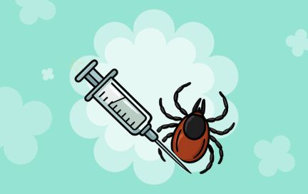 Вакцина против клещевого энцефалита: кому нужна, как прививаться и что делать, если сезон уже начался
