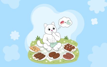 Норма белка без мяса: 8 продуктов, которые решат проблему
