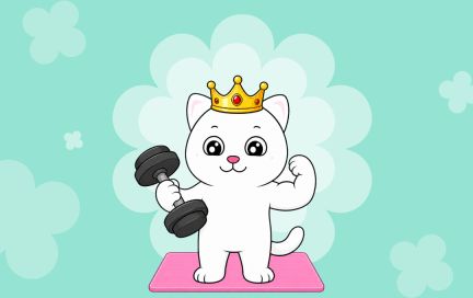 Обновления Премиума: что нового в премиальной подписке FitStars